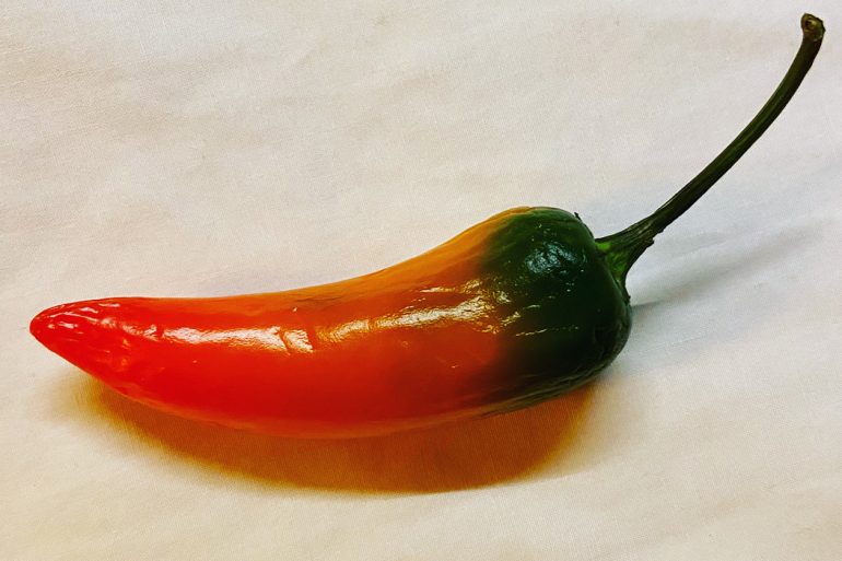 Selbstzweifel-überwinden